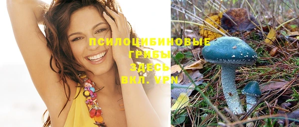 spice Зеленодольск