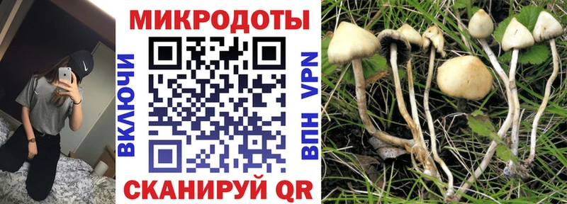Купить  Билибино  Псилоцибиновые грибы мухоморы 