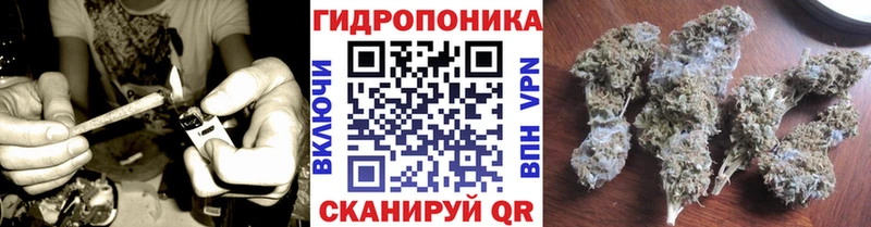 Купить где  Билибино  Шишки марихуана SATIVA & INDICA 